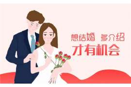 焦作调查公司：非婚生子女与婚生子女的法律地位是同等吗